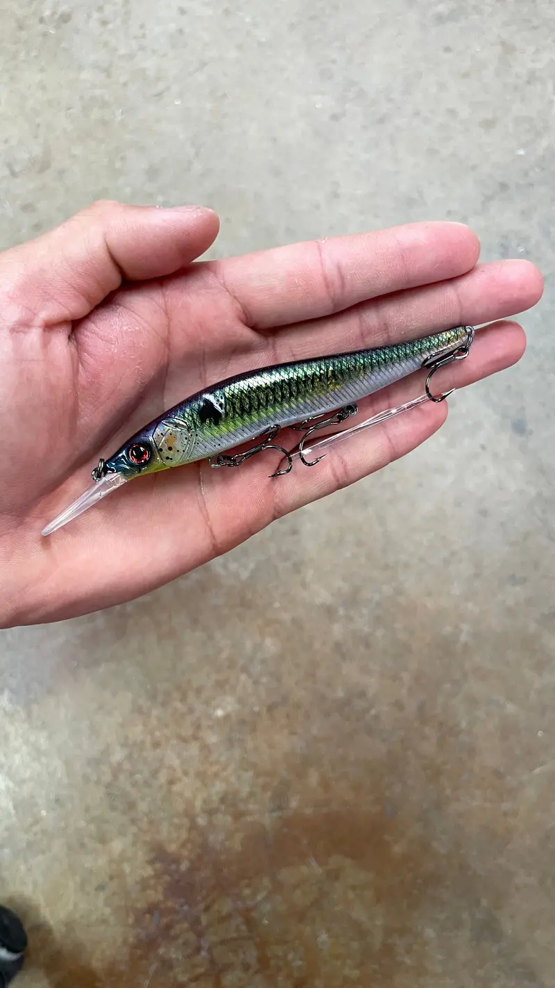 Armstrong Outfitters Tackle 110+1 Jerkbait 1