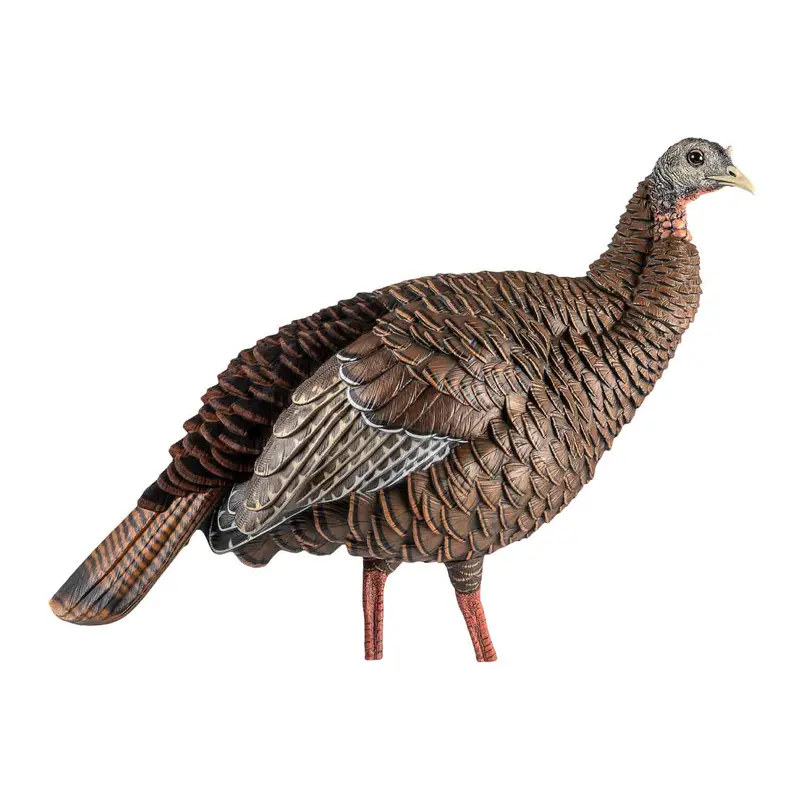 Avian-X Hdr Hen Turkey Decoy With Lifelike Detail 1