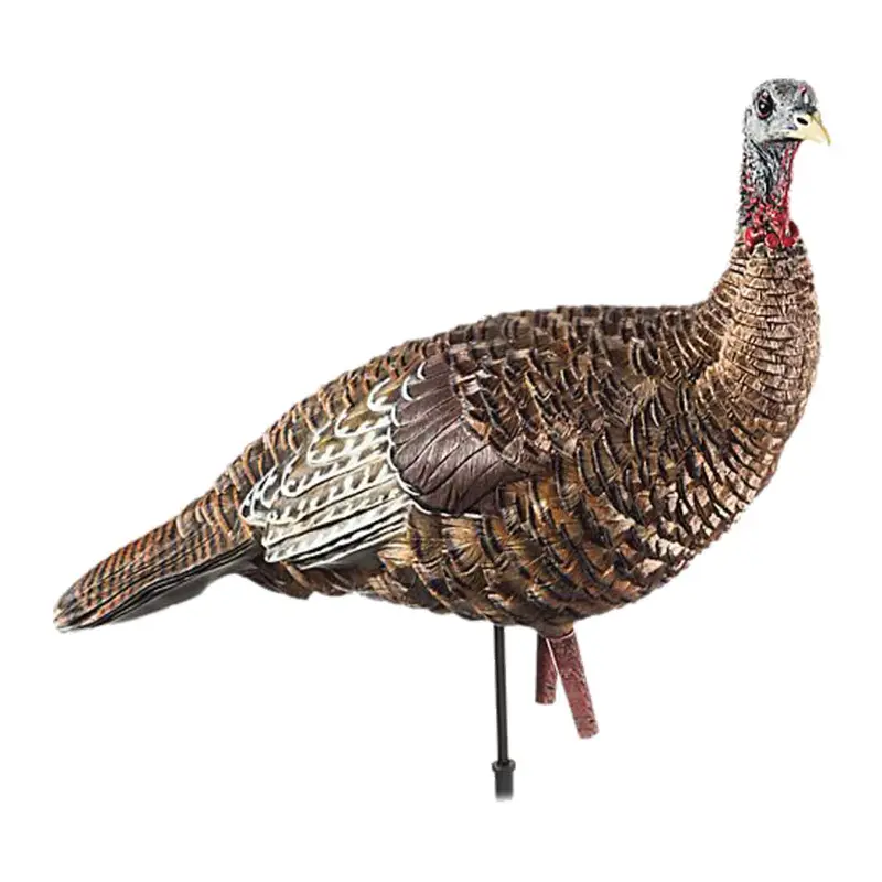 Avian-X Lcd Lookout Hen Turkey Decoy With Alert Stance 1