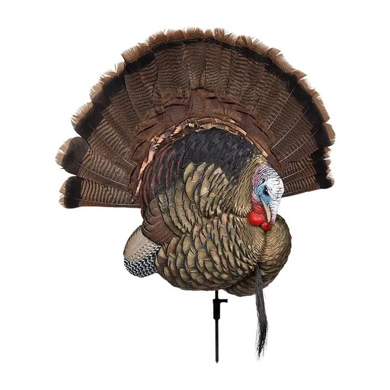 Avian-X Trophy Tom Turkey Decoy With Premium Feathering 1