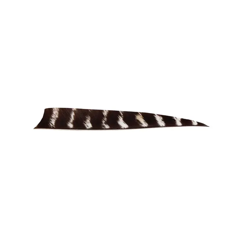 Bearpaw 5-Inch Shield-Cut Natural Barred Feathers 1