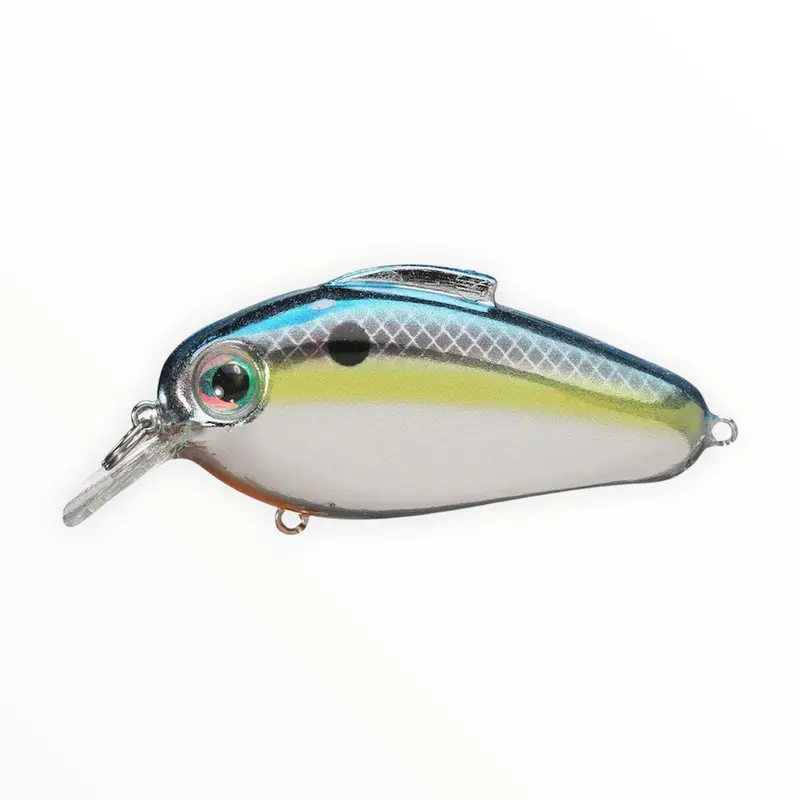 Bill Lewis Echo 1.75 Crankbait 7
