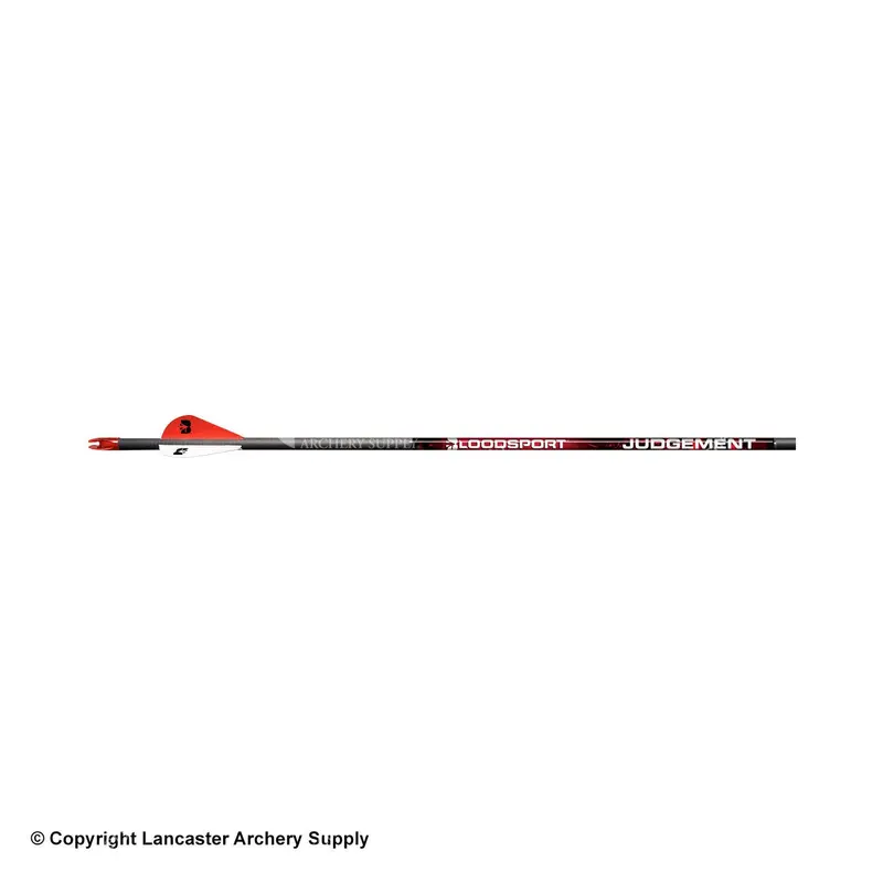 Bloodsport Judgement High-Performance Fletched Arrows 1