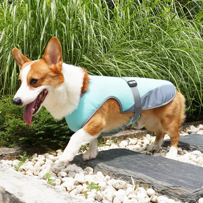 Breathable Mesh Cooling Jacket For Dogs In Warm Weather 1