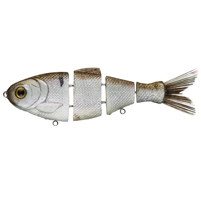 Bull Shad Fast-Sinking Swimbaits 1