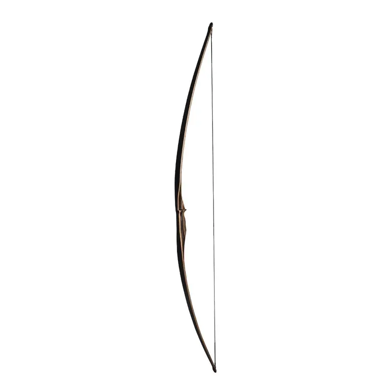 Galaxy Sage Traditional Longbow 1