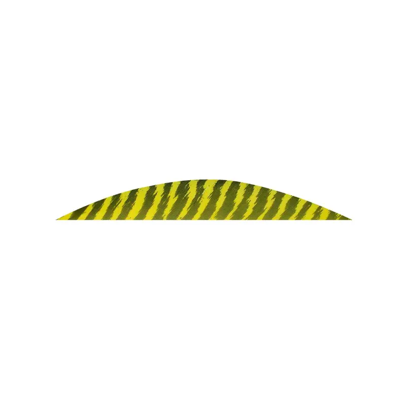 Gateway 5.5-Inch Magnum Banana Barred Arrow Feather
