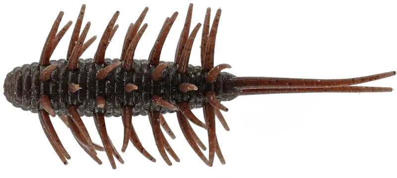 Hideup Coike Shrimp – Realistic Saltwater-Inspired Soft Shrimp 3
