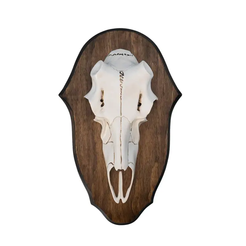 Illusion Black Forest Natural Causes Antler Mounting Kit 1