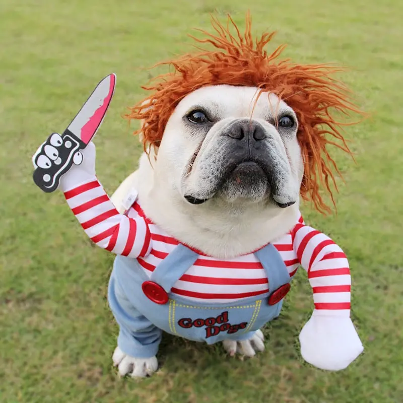 Killer Doll Themed Dog Costume – Halloween Ready 1