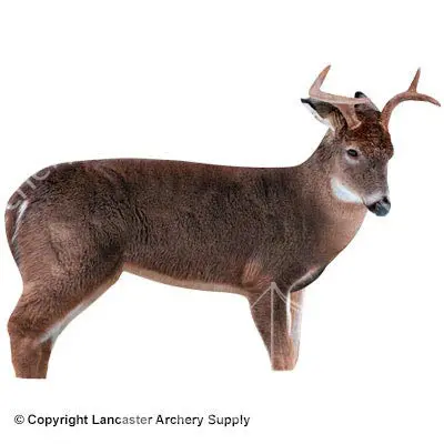 Montana Decoy The Freshman Whitetail Deer Decoy For Bow Hunters 1