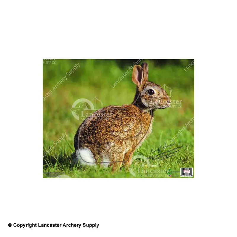Nicetargets Lifelike Rabbit Shooting Target 1
