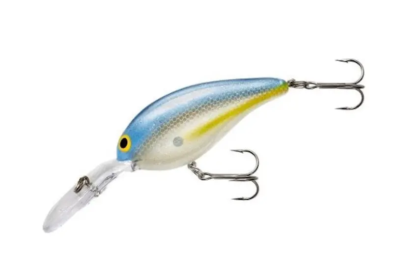 Norman Deep Little N Crankbait 2