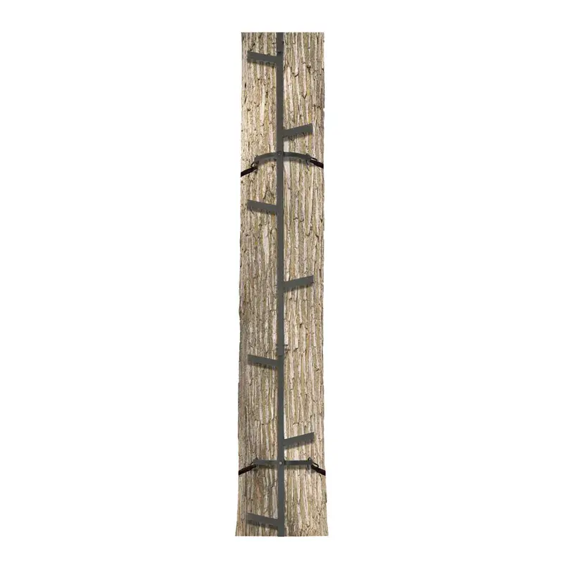 Quick-Stick Big Game Climbing System 1