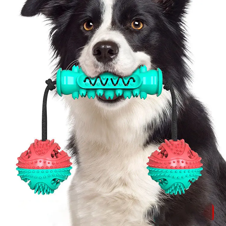 Rope-Reinforced Chew Toy With Built-In Dental Brush 1