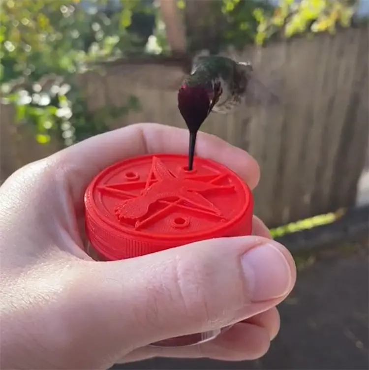 Transparent Hummingbird Feeder With Suction Cup For Windows 1