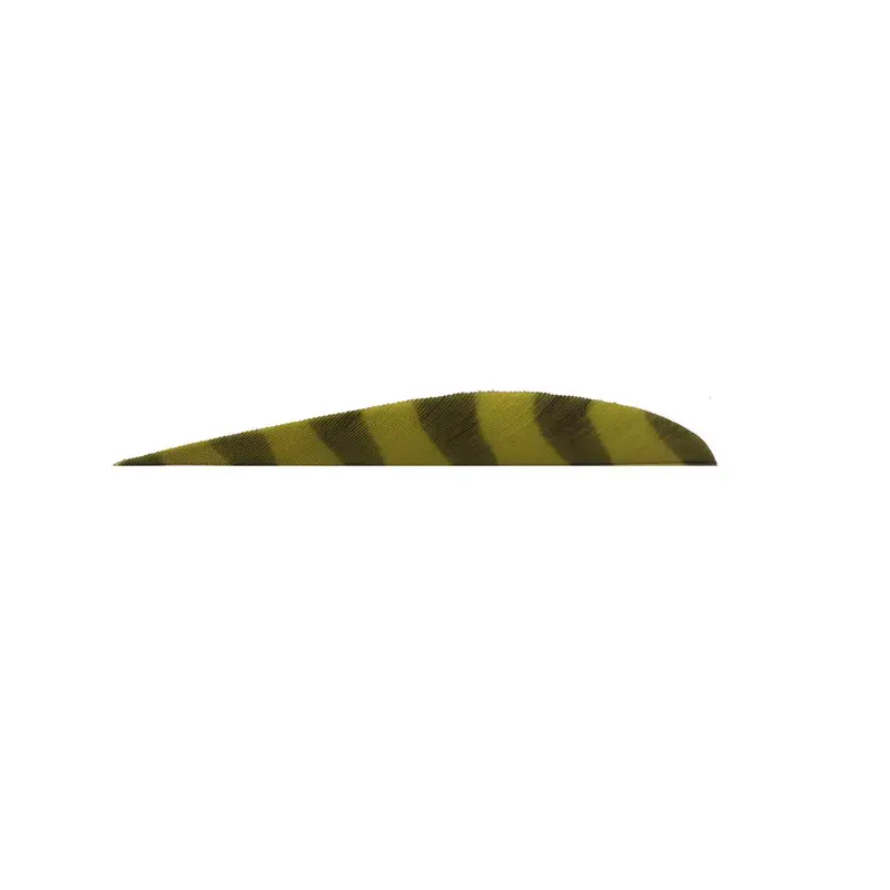 Trueflight Barred 4-Inch Round Back Feather – Right Wing 10